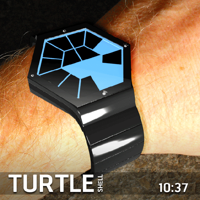 TURTLE_SHELL_ON_WRIST