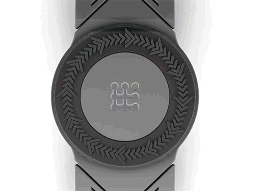 Revolution-Ani-1-opt